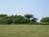 P4250115