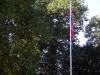 DSCN0420