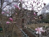 SAM_9394