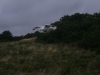 p1.jpg