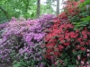 SAM_0074