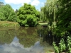 SAM_0184