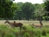 SAM_0320