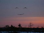 smile.jpg