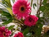 DSCN0701