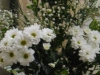 DSCN0704
