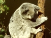 australia-3-035.jpg