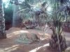 australia-3-050.jpg