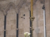 p1010108