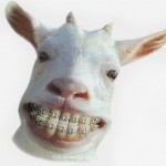 Obvyklá dávka pro zasmání
